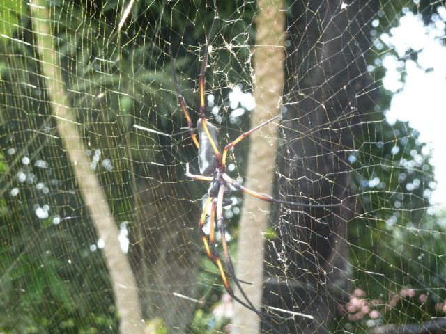 Sun Properties & Resort-浴室