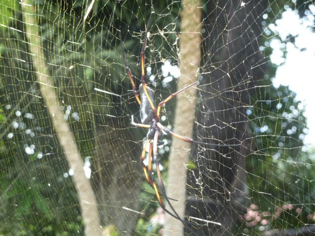 Sun Properties & Resort主图