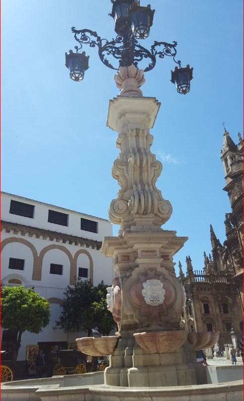 Plaza de la Virgen de los Reyes景点图片