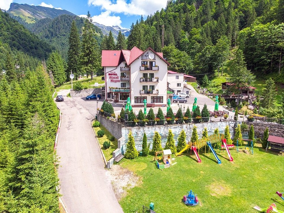 Hotel Piscul Negru主图