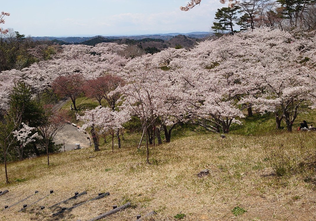 Takiyama Park-东松岛市必去景点