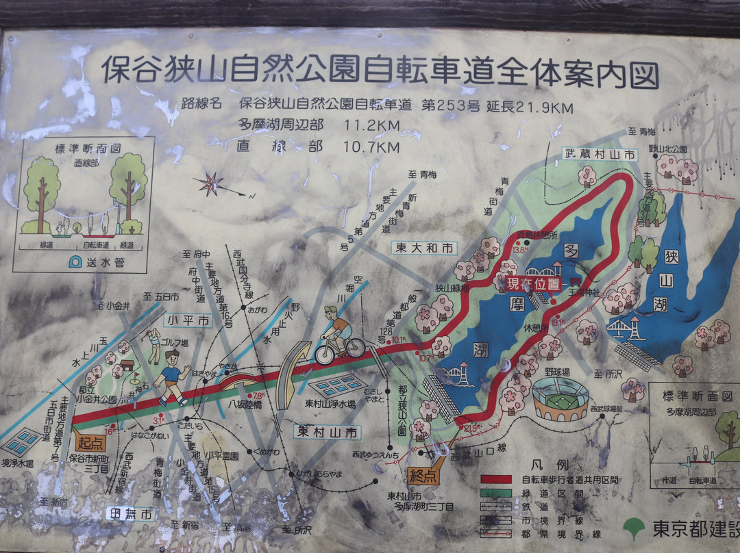 Tama Lake Cycling Road-东大和市必去景点