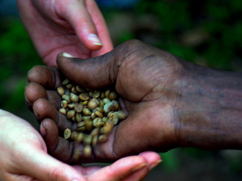 Nandi Adventures-坎帕拉必去景点