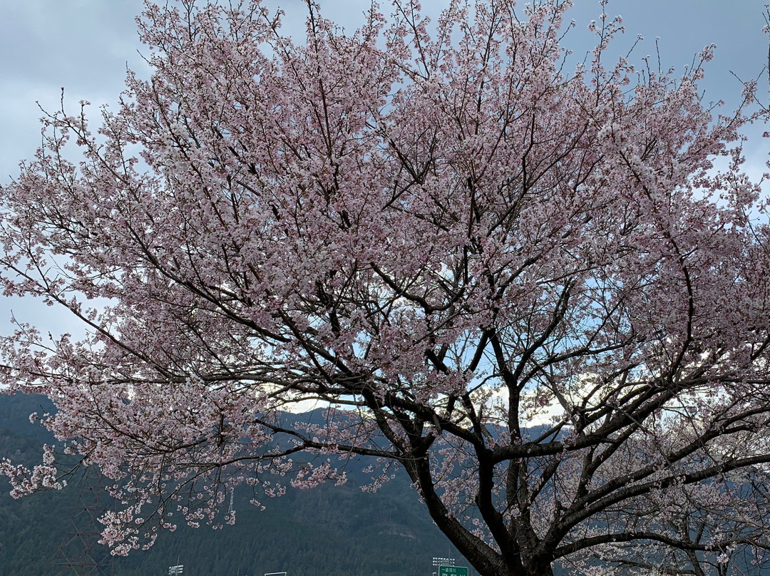 Hidagawa Park-下吕市必去景点
