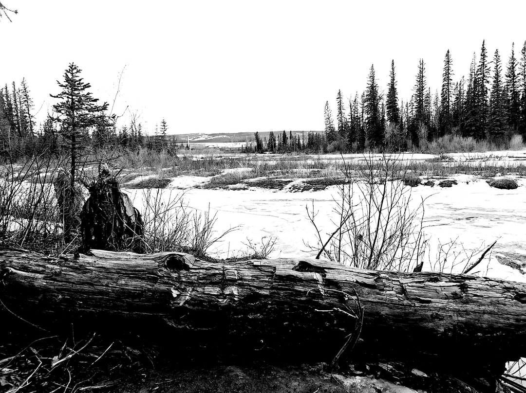 Weaselhead Flats-卡尔加里必去景点