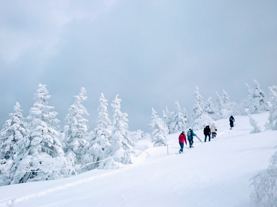 Mt.Moriyoshi ANI SKI RESORT景点图片