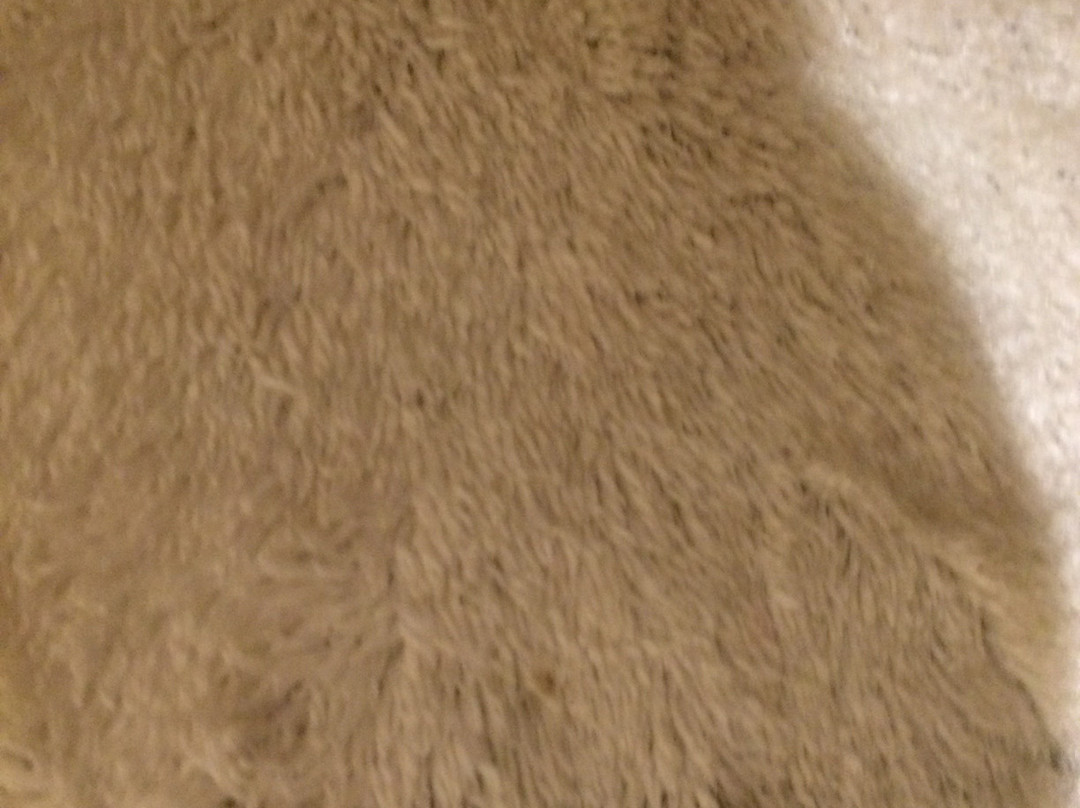 Parador Estaleiro Hotel主图