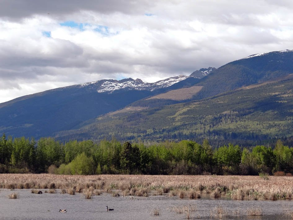 R.W. Starratt Wildlife Sanctuary-维尔蒙特必去景点