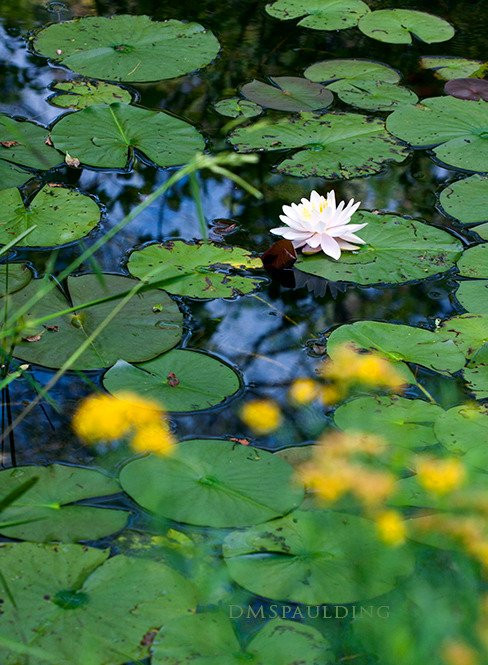 Catamount State Forest-Colrain必去景点