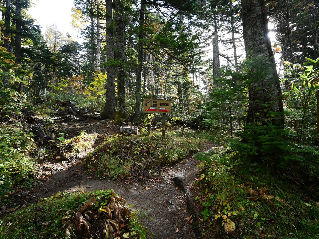 Mt. Pon-利尻富士町必去景点