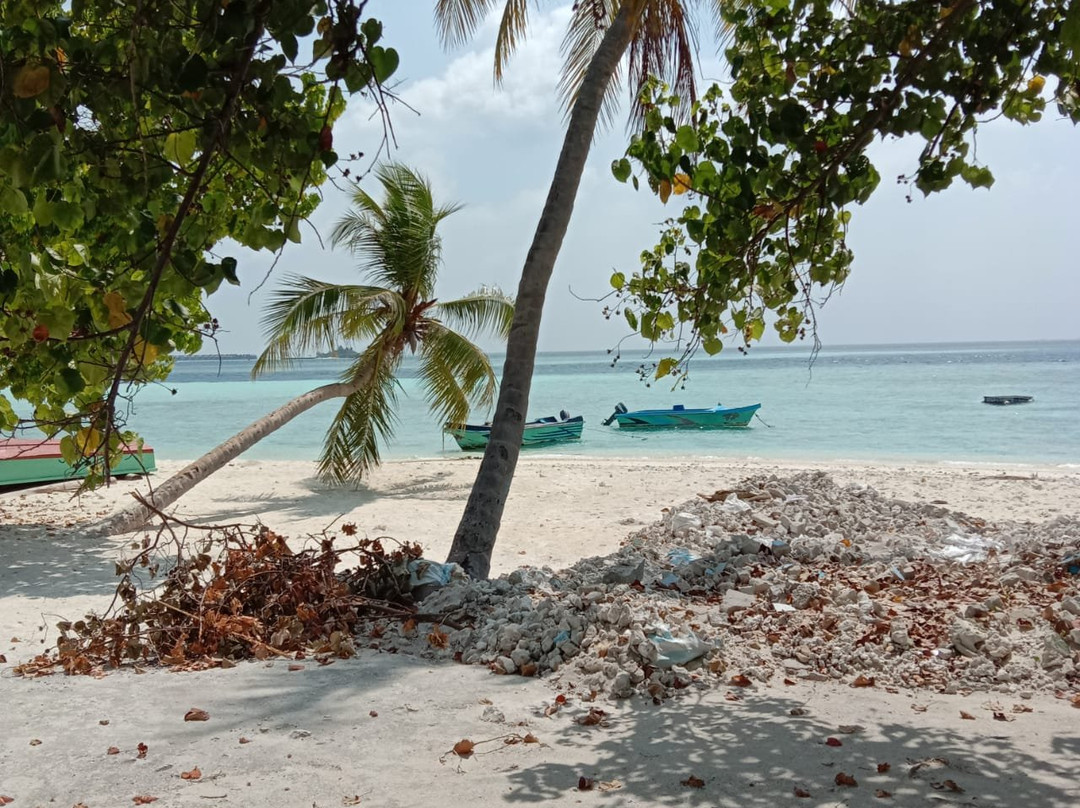 Marina Sunset View主图