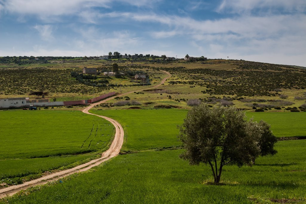 Pick Morocco Tours-卡萨布兰卡必去景点