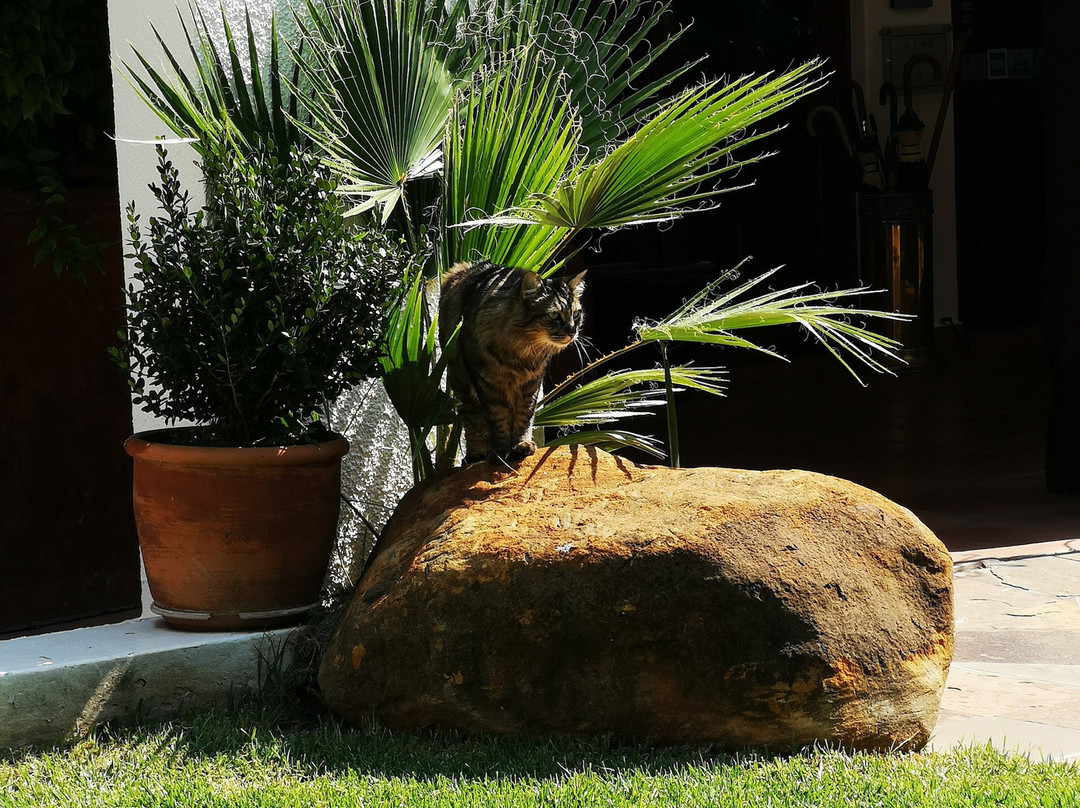 绿洲豪华旅馆主图