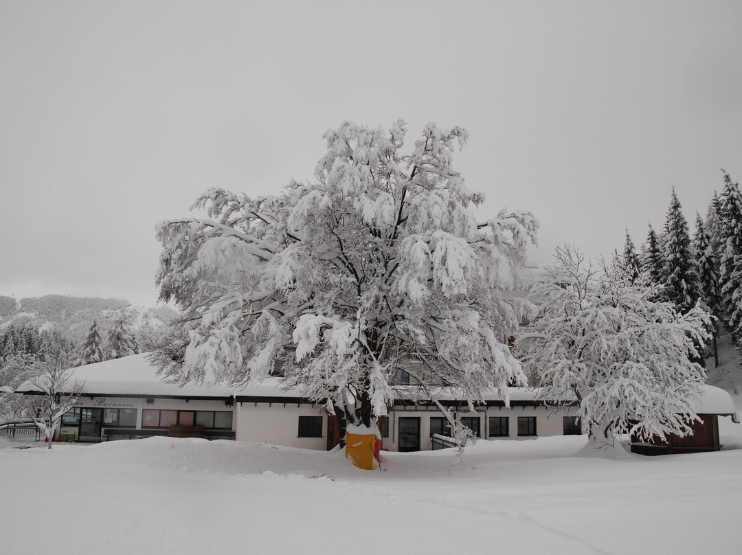 Hotel Bucaneve主图