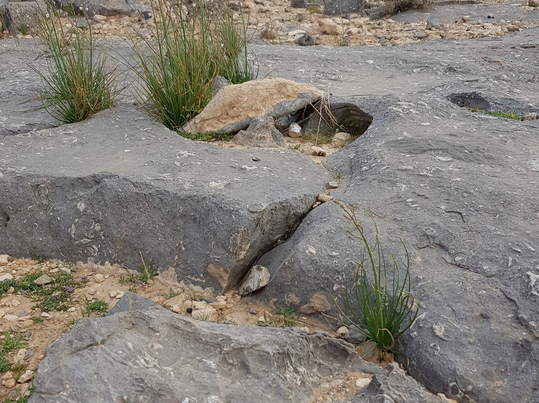 Freestyle Divers Khasab-海塞卜必去景点