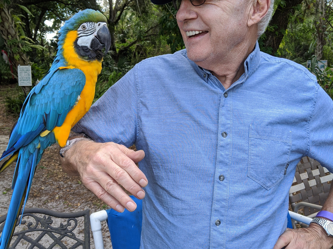 Bird Gardens of Naples-那不勒斯必去景点