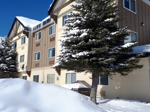 灰狼套房酒店主图