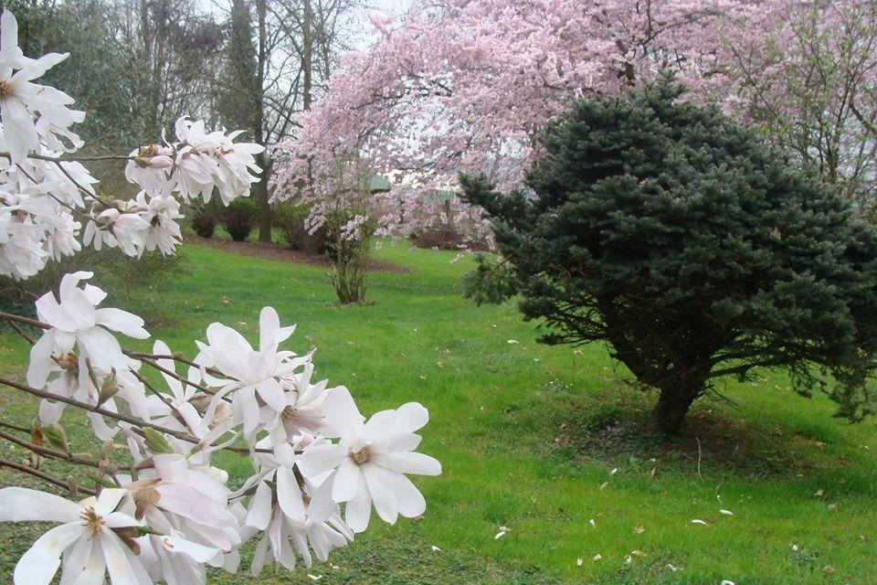 Azienda Agricola Il Melograno -Settimo Rottaro--Settimo Rottaro必去景点