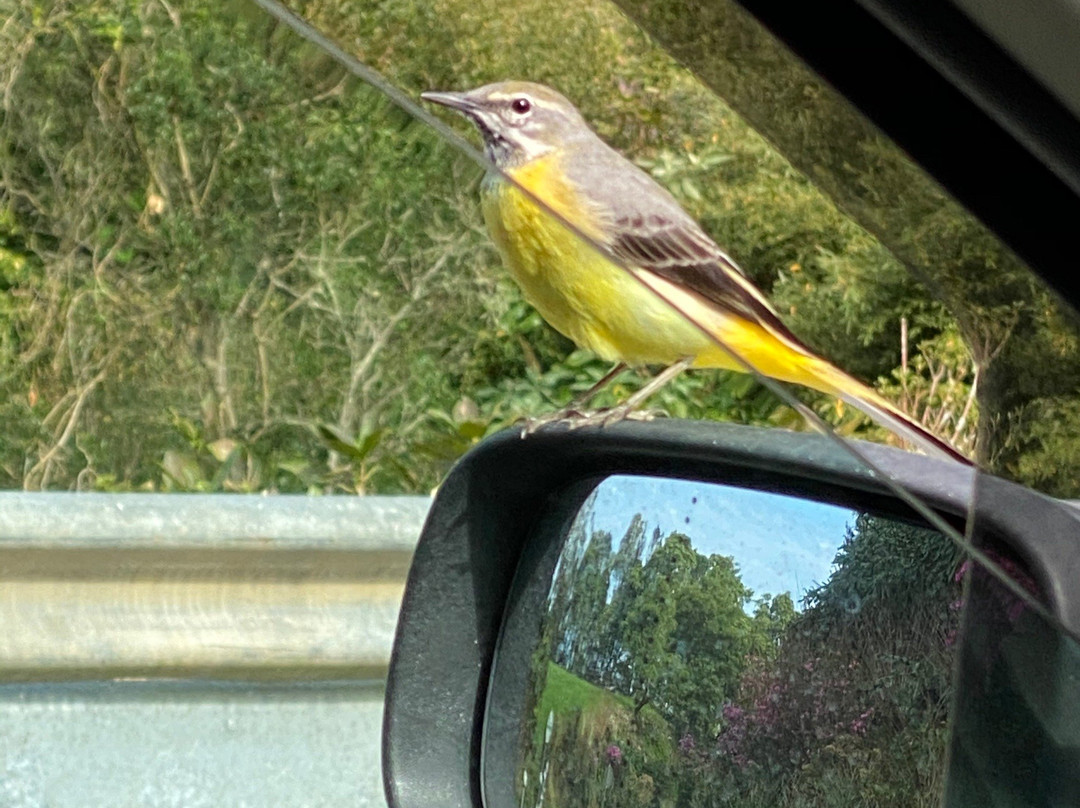Azores Wonderful-蓬塔德尔加达必去景点