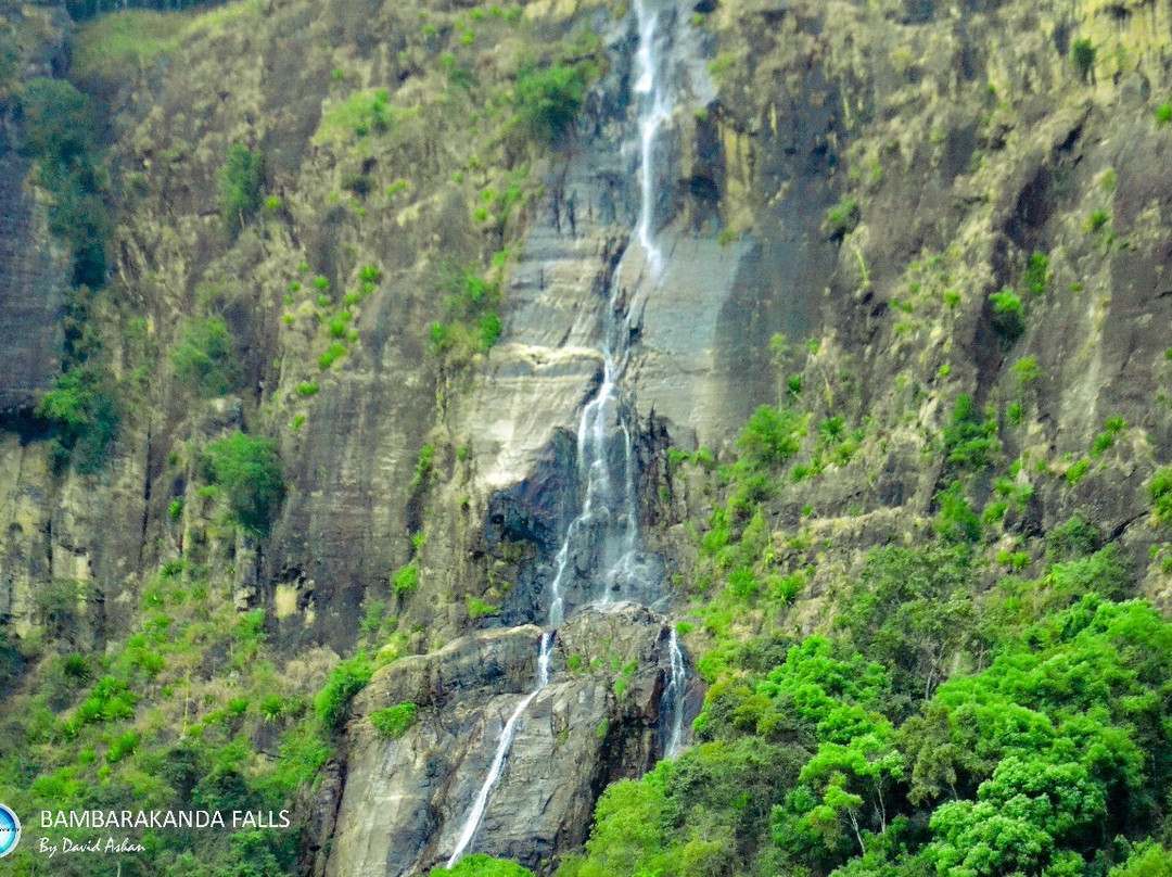 The Misty Mountain Guest House主图