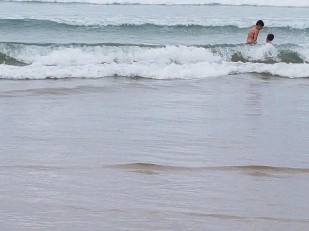 The Berria Surf School景点图片