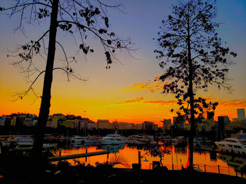 BOTA - Cucina Italiana | Marina da Glória