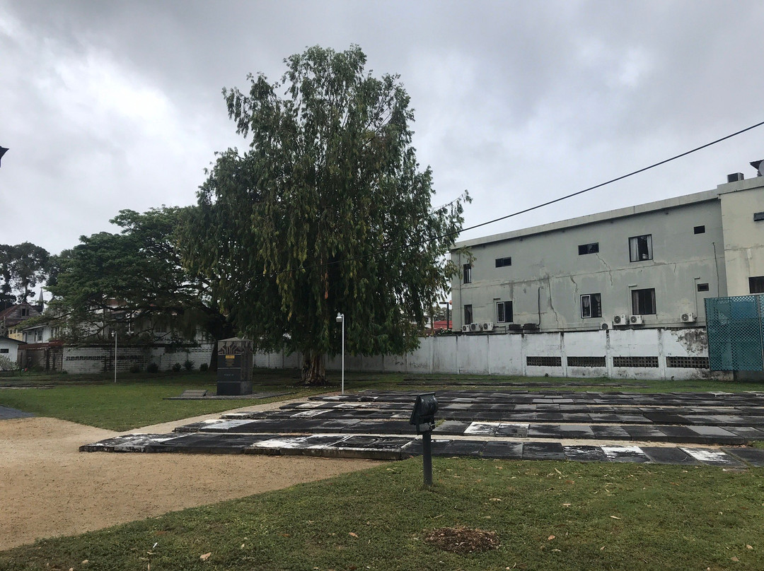 Neveh Shalom Synagogue-帕拉马里博必去景点