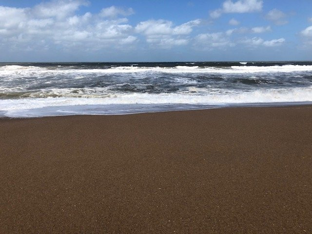 Laguna Garzon Lodge主图