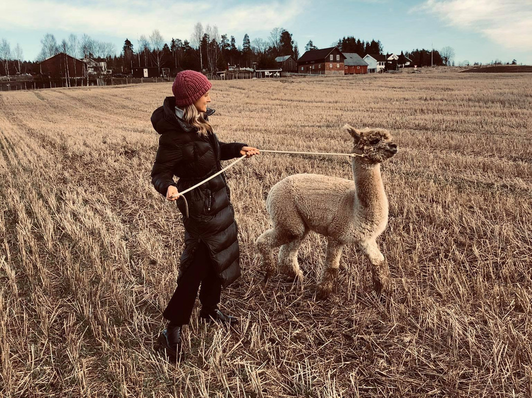 The Alpaca Farm-Aurskog-Holand Municipality必去景点