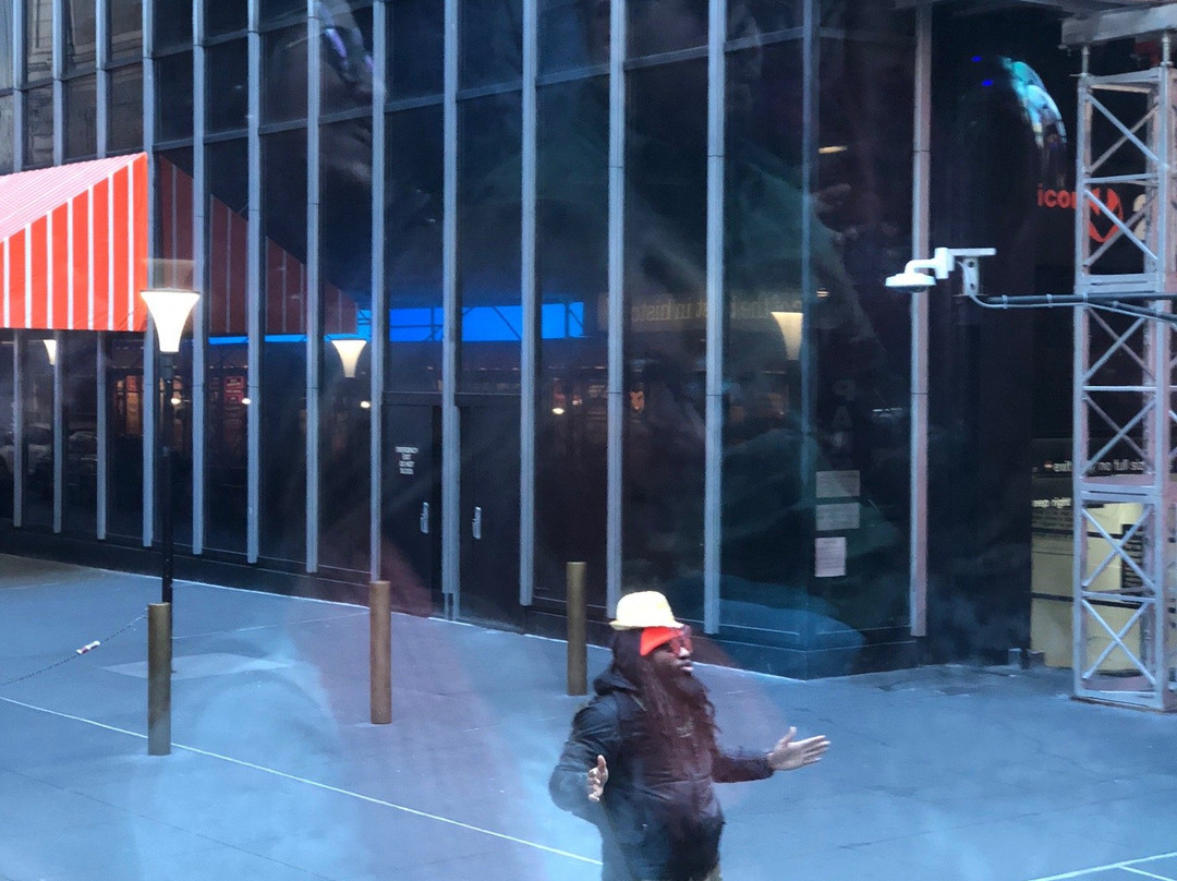 The Ride NYC-纽约市必去景点