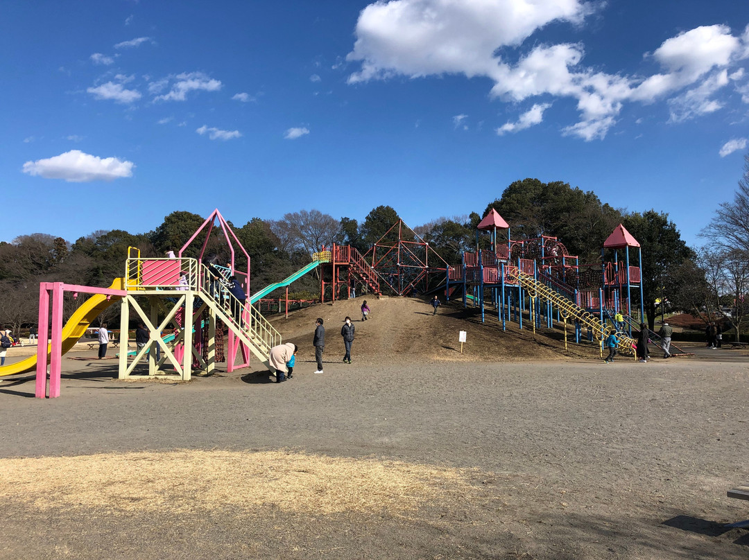 Oyama Comprehensive Park-小山市必去景点