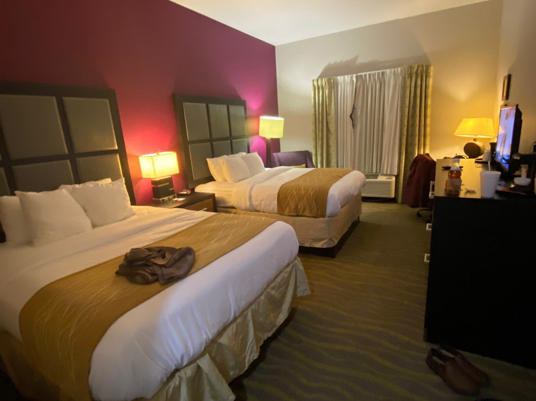 Comfort Inn & Suites Tulsa I-44 West - Rt 66主图