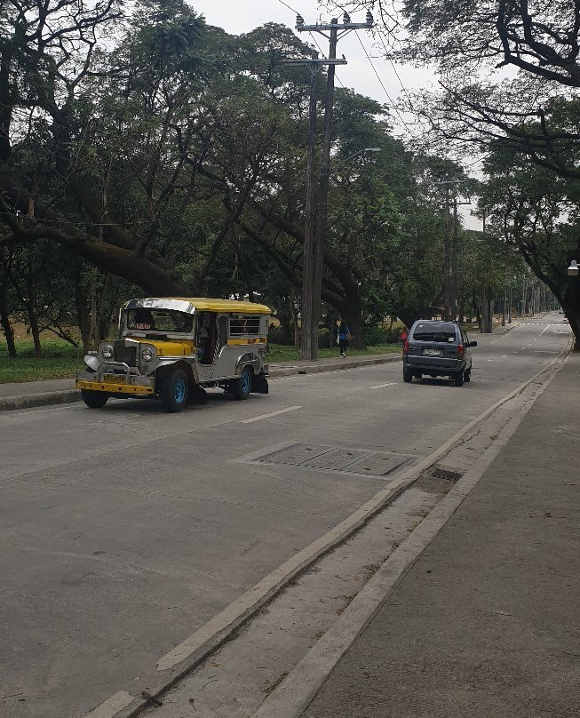 University Of The Philippines - Diliman-奎松市必去景点
