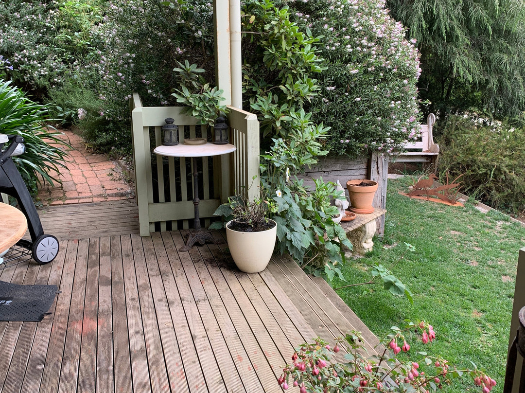 Birches of Daylesford主图