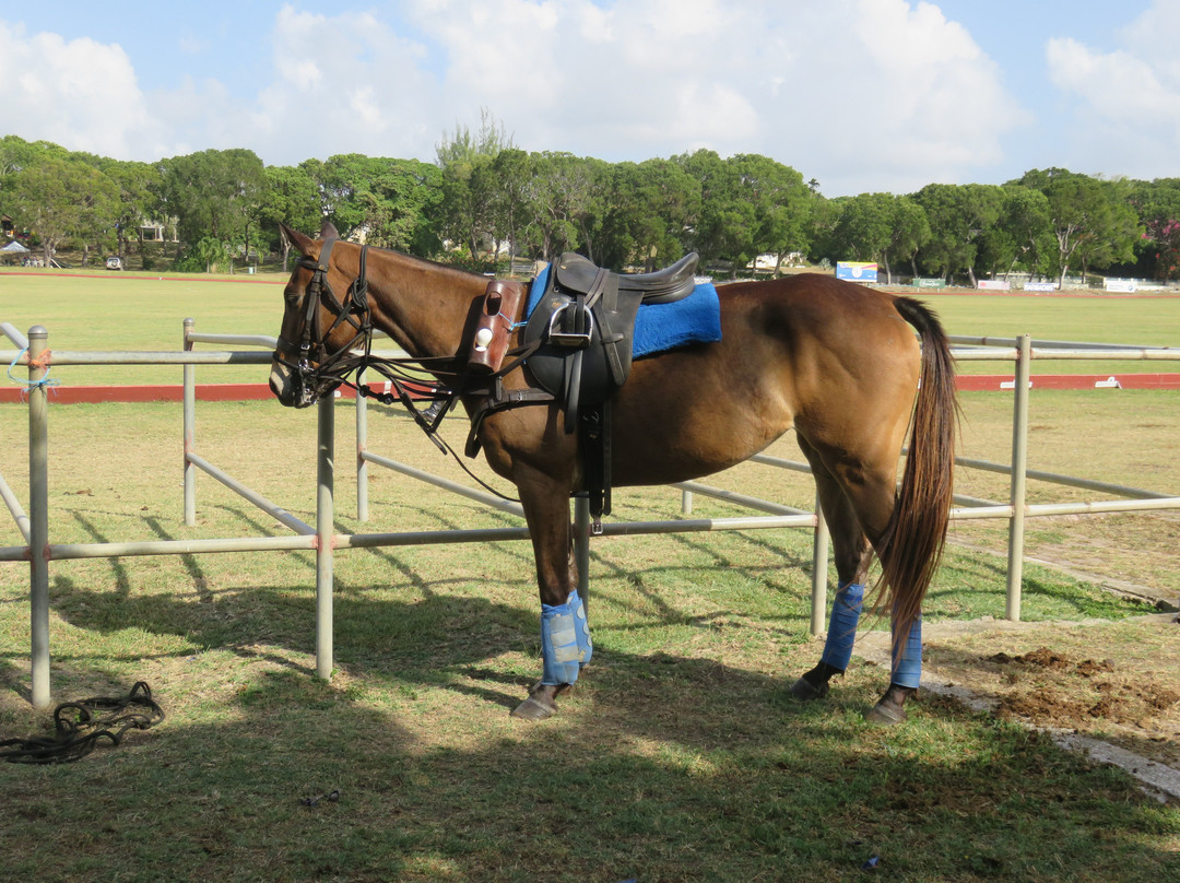Barbados Polo Club-圣詹姆斯必去景点