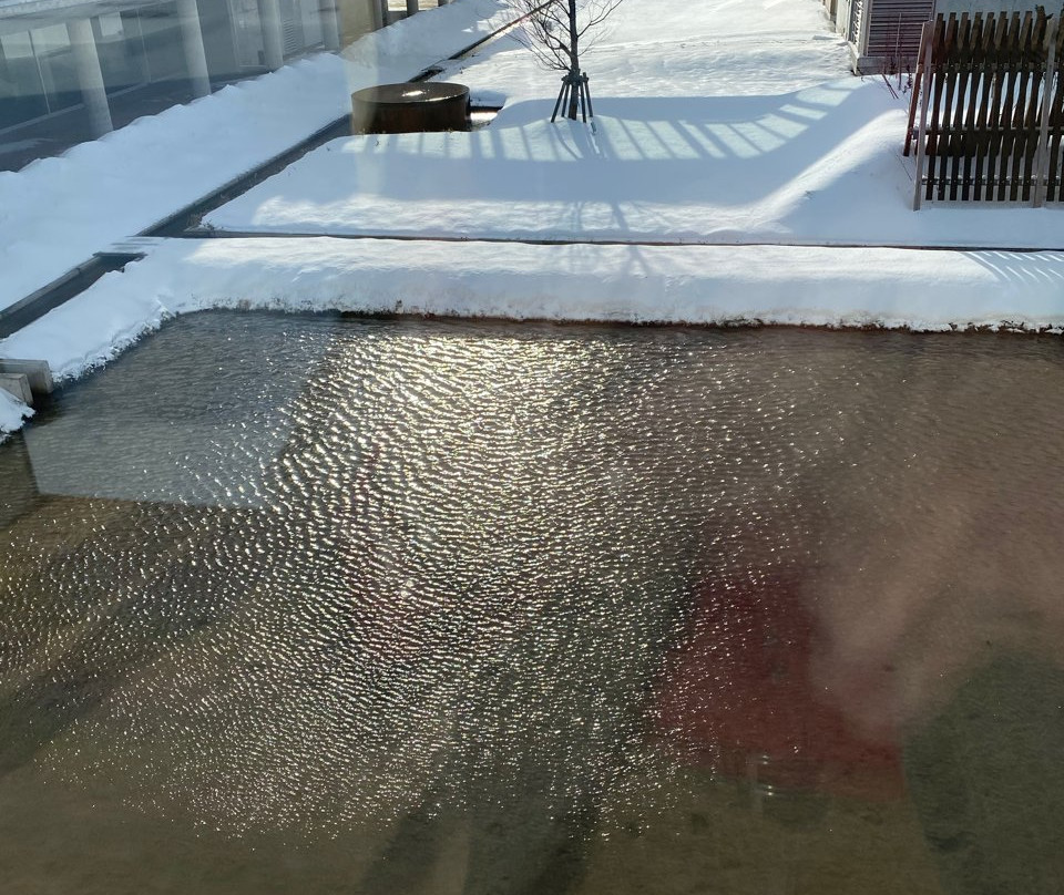 Shonai Hotel Suiden Terrasse主图