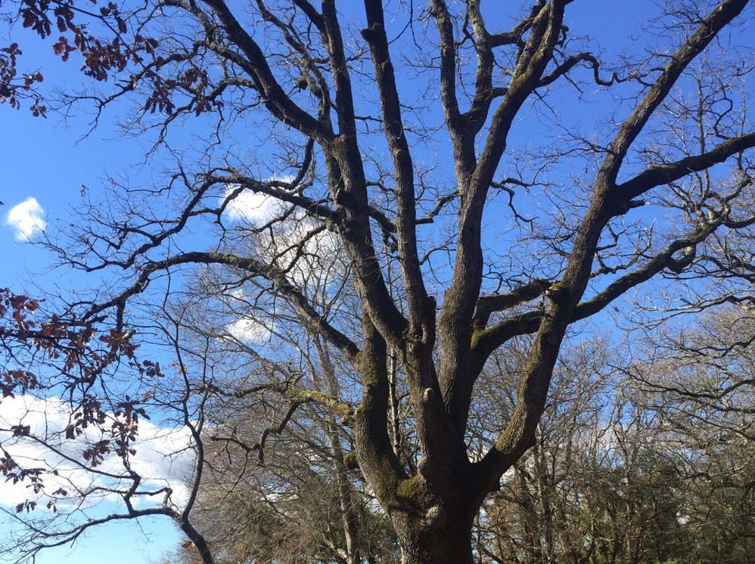 Eglise Saint-Michel-La Garde-Adhemar必去景点