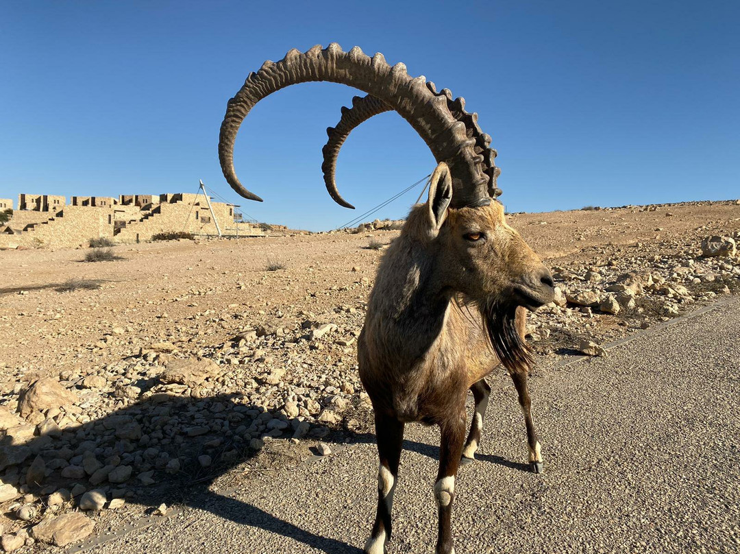 Mount Yoash Observation Point-埃拉特必去景点