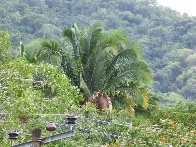 Hotel Casa Iguana主图