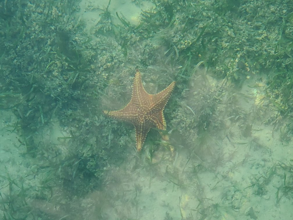 Captain Ron's Diving-Norristown必去景点