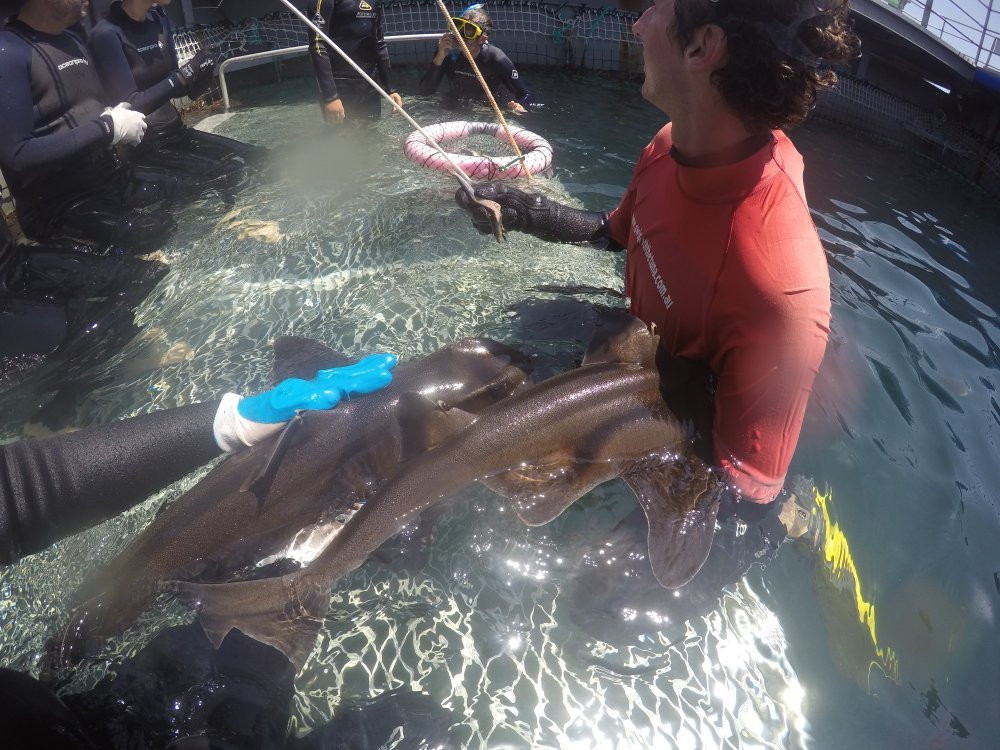 Oceanic Victor-维克多港必去景点