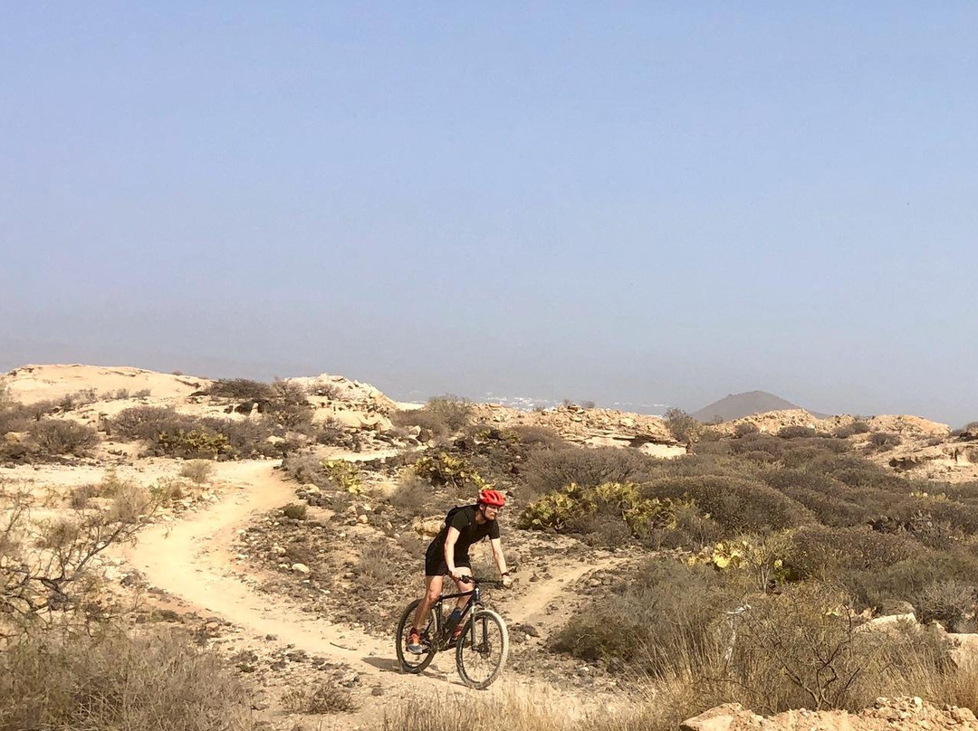 Tenerife Bike Adventures-El Medano必去景点
