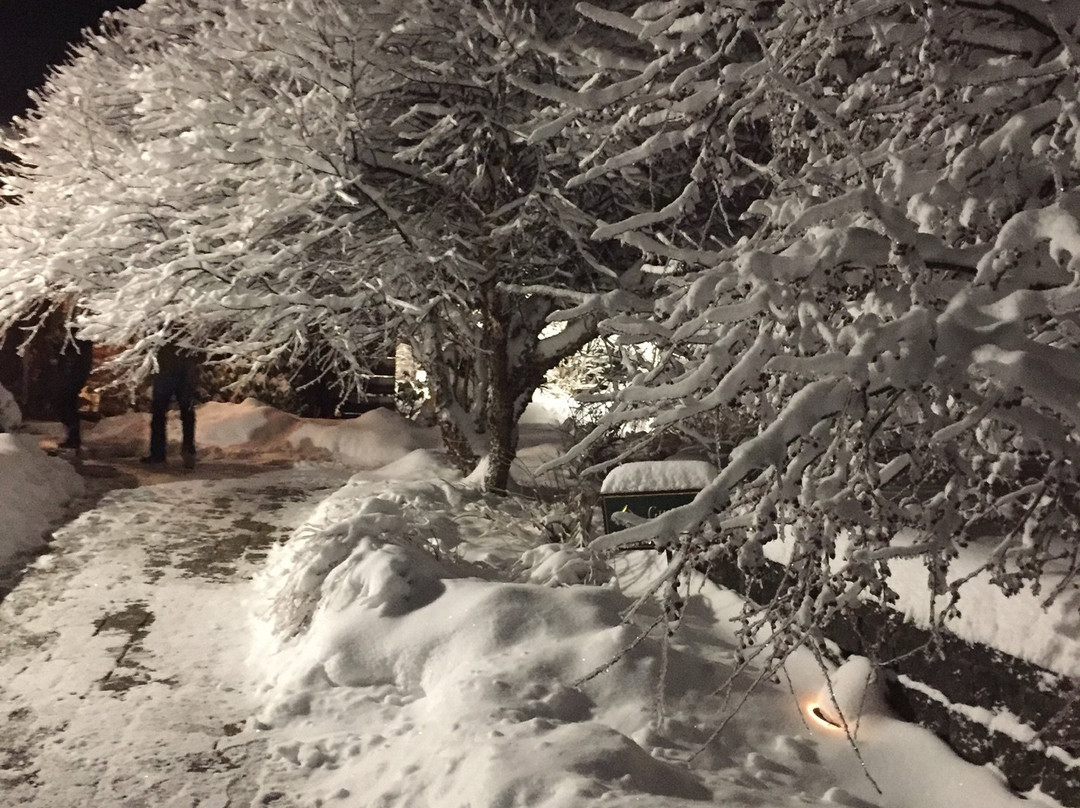 The Chalet of Canandaigua主图