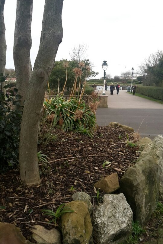 King's Gardens-绍斯波特必去景点
