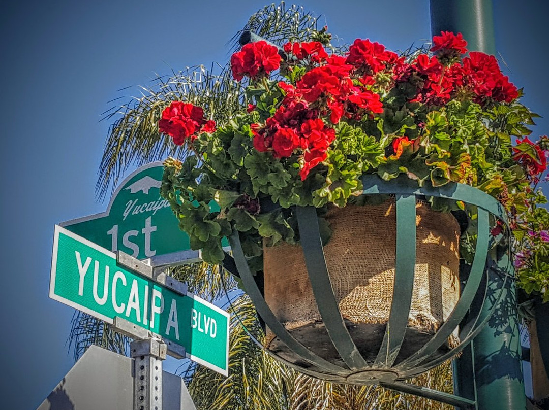 Nostalgia Furniture and Decor-Yucaipa必去景点