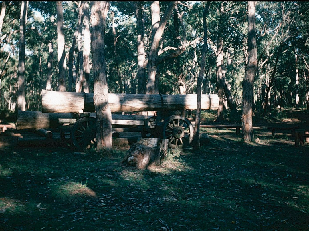 Sawpit Campground景点图片