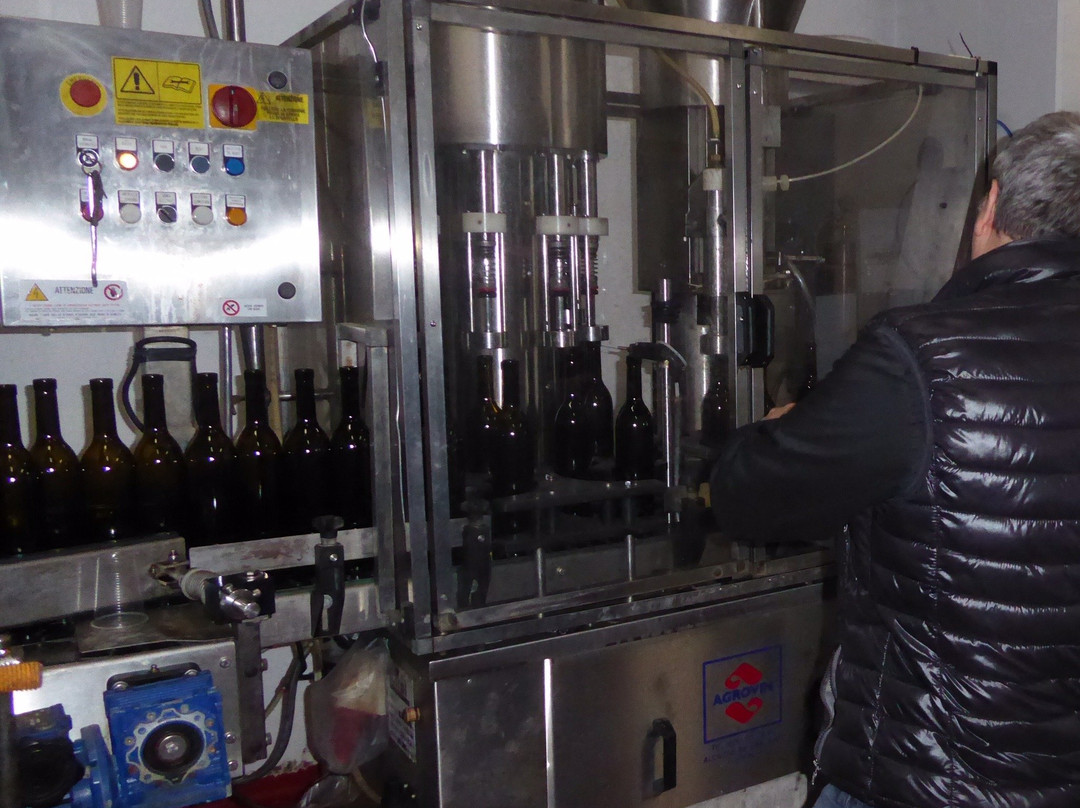 BodegasXalo景点图片