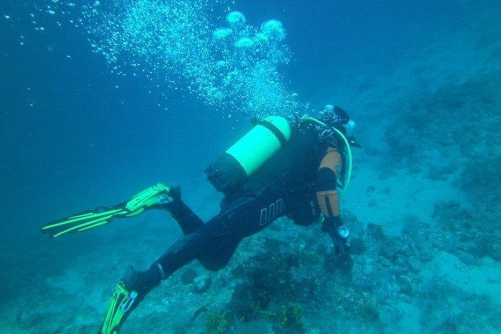I.R.T.D.A. d.o.o. - Correct diving景点图片