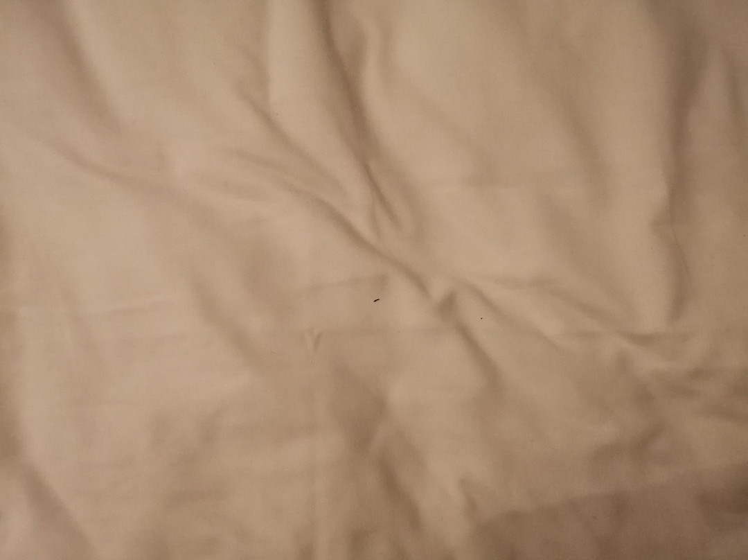 The Falmouth Townhouse