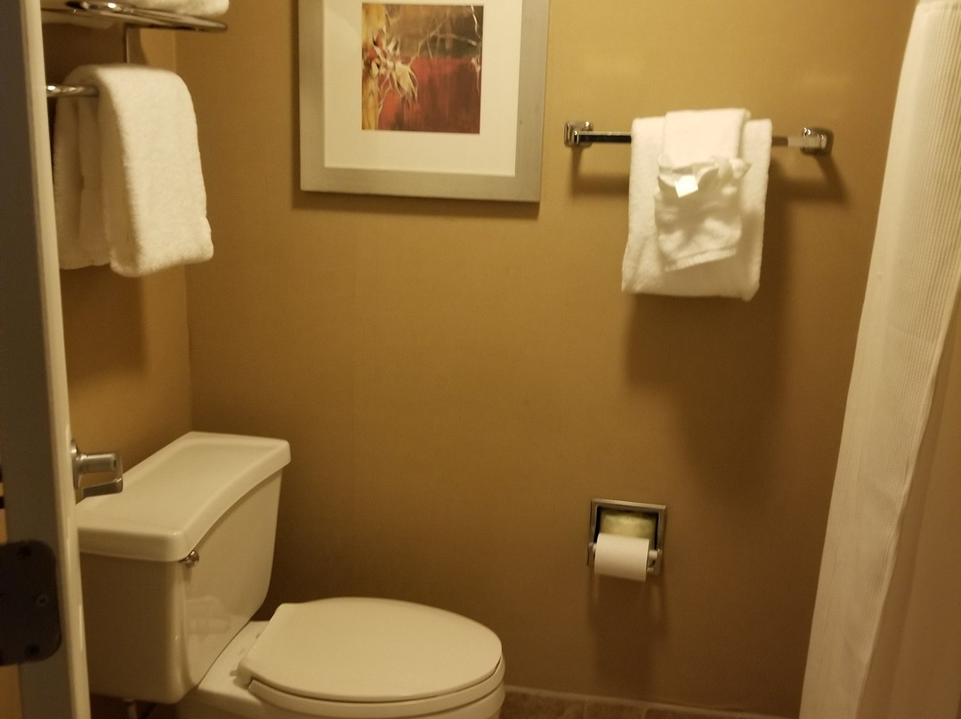 拉斐特希尔顿惠庭套房酒店主图